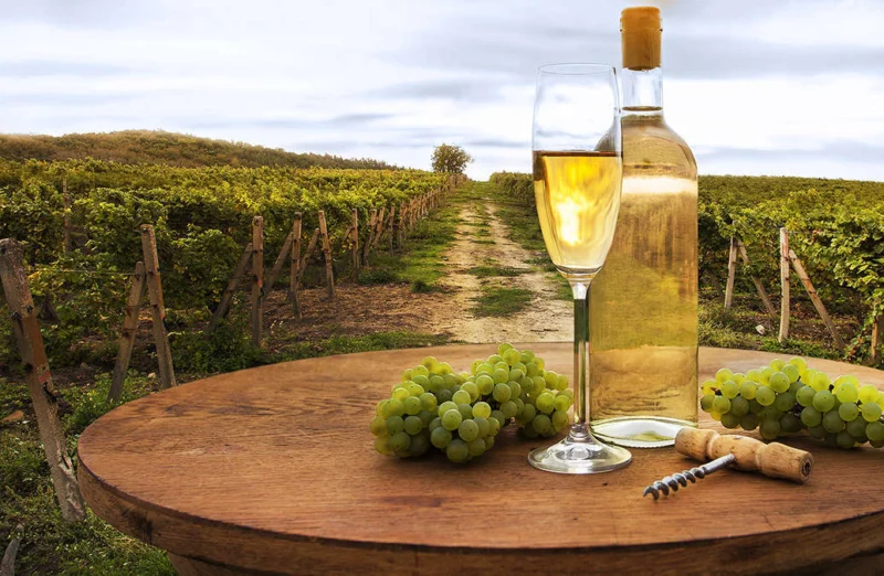 Tra i vini serviti a Castelbrio vi è il Vino Grechettto dispensa castel brio